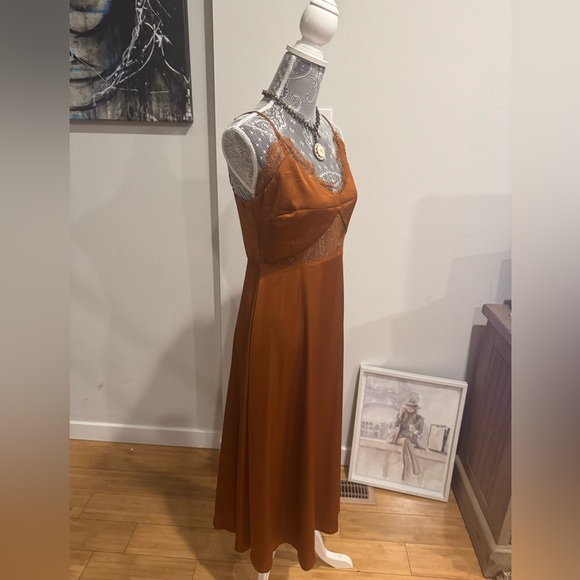 Petal & Pup / Ariel Dress - Rust
Satin Sheen Feel Lace Midi Dress - Picture 5 of 16